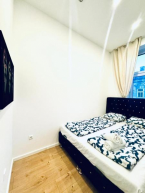 Spacious 3BR Shared Apt 11Minute Stroll to Atzgersdorf Park